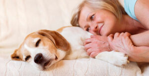 Mascotas para la tercera edad